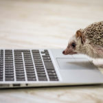 エンジニアの副業!在宅での仕事の探し方は?