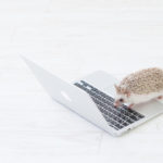 パソコンがあった方が副業の幅は広がる！在宅ワークにPCが必要な理由