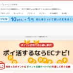 ECナビ｜買い物・アンケートでポイントを貯めるお小遣いサイト